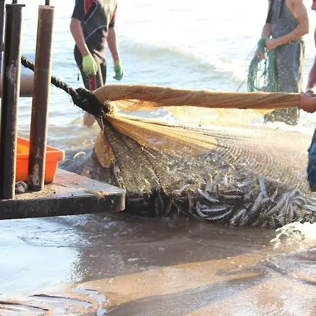 Herdade Aroeira, Praia, Golfe Perto Lisboa 阿尔马达